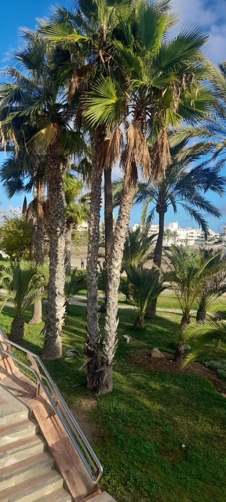 Apartamento Pepita Alay Benalmádena Buitenkant foto